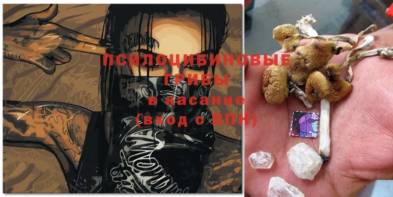 mega зеркало  Когалым  Галлюциногенные грибы MAGIC MUSHROOMS  цены  